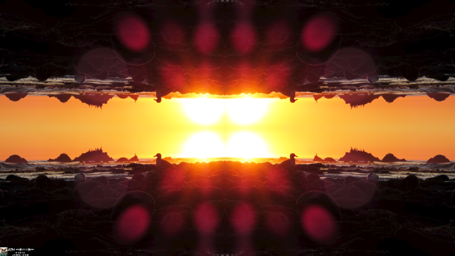 Malibu Tide Pool Stills quadroscopic image